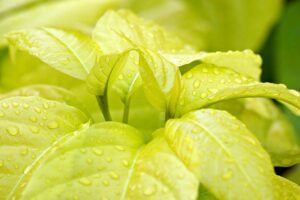 後悔した理由とは何か、知っておくべきポイントは？