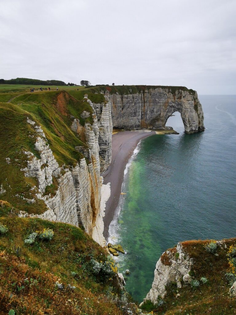 職員教育を充実させるための具体的な方法は？