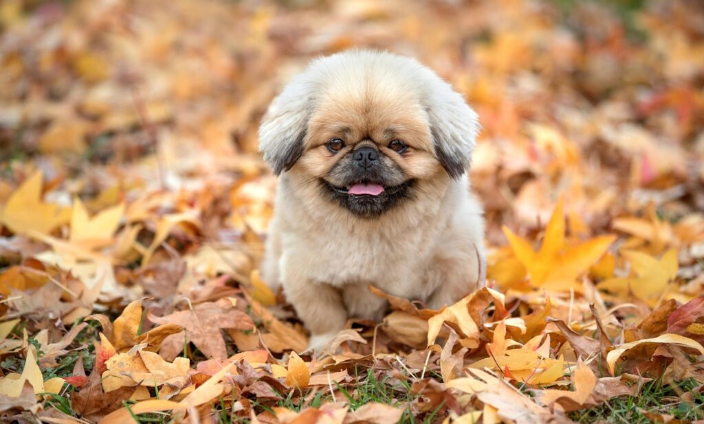 食事の評判が良いレストランはどこですか？