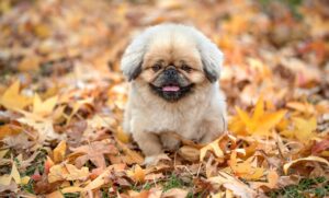 食事の評判が良いレストランはどこですか？